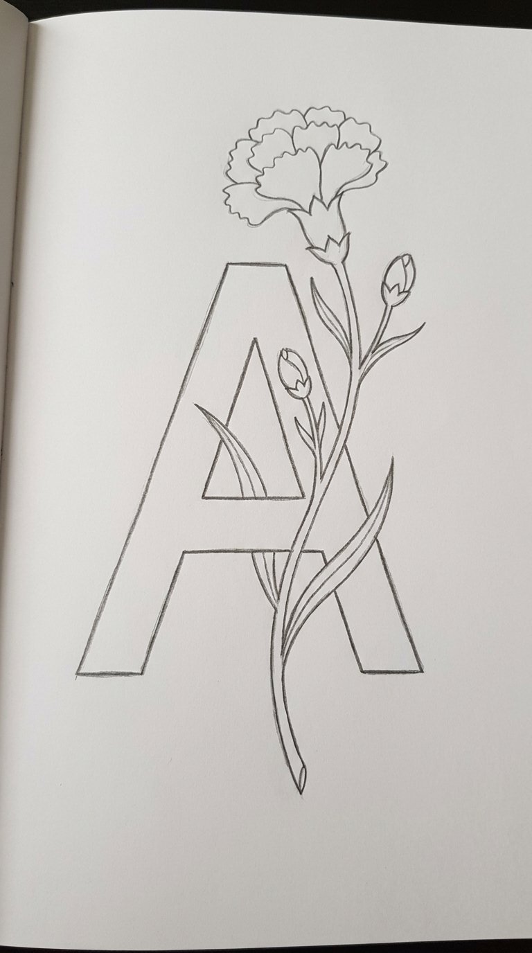 12 Carnation Flower Drawing Ideas for Beginners 5 Carnation Letter Initial Drawing
