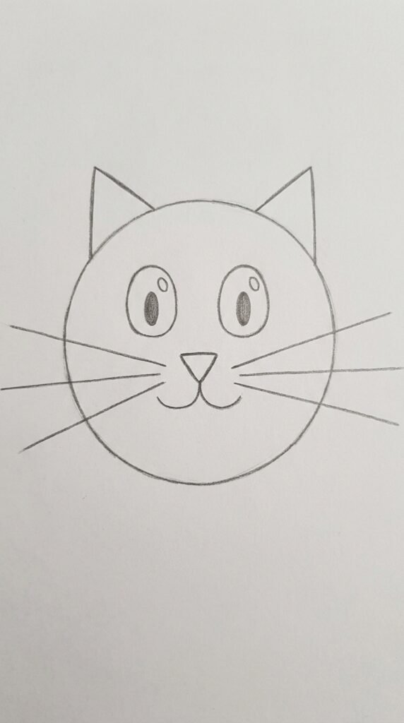 Cartoon Cat Face
