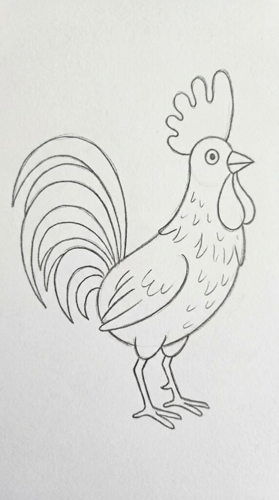 12 Chicken Drawing Ideas That Are Easy and Fun for Beginners 3 Cartoon Rooster Standing Tall