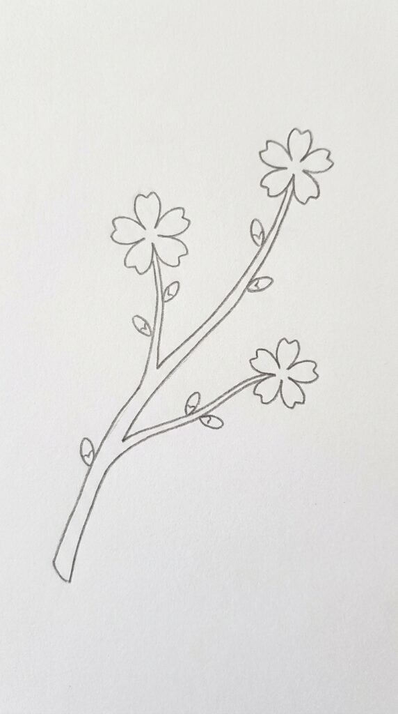 Cherry Blossom Branch with Three Blooms