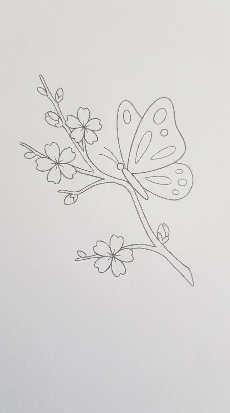 12 Cherry Blossom Flower Drawing Ideas for Beginners (Easy Step-by-Step) 7 Cherry Blossom Butterfly Combination