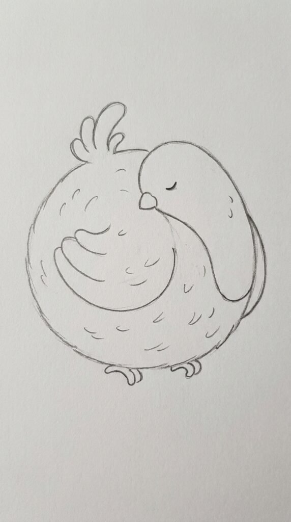 12 Chicken Drawing Ideas That Are Easy and Fun for Beginners 12 Chicken Seen from the Front