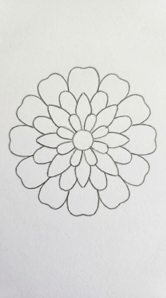 Double Petal Zinnia Drawing