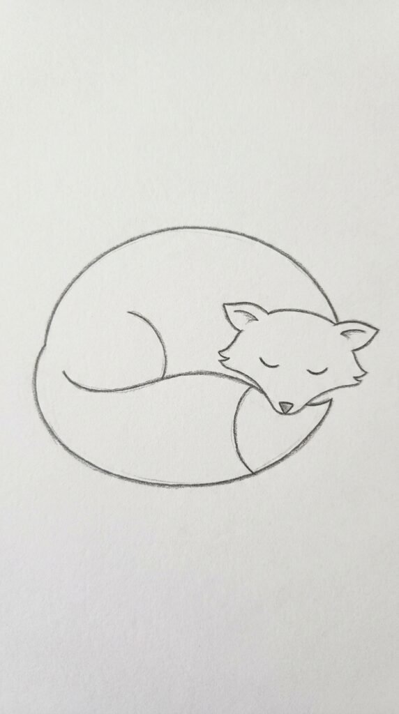 Fox Sleeping Drawing