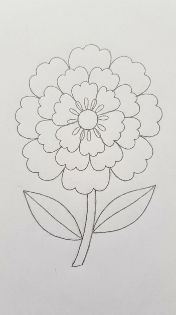 Full Bloom Peony Drawing