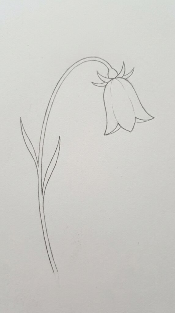 13 Genbenya Flower Drawing Ideas That Are Simple and Beautiful for Beginners 8 Genbenya Bell Shaped Flower