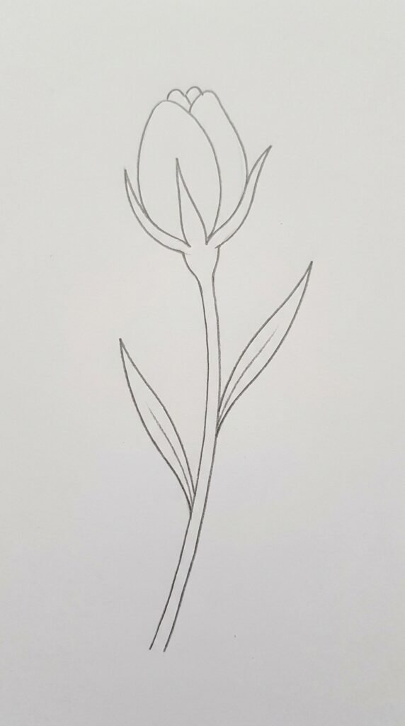 Genbenya Oval Bud