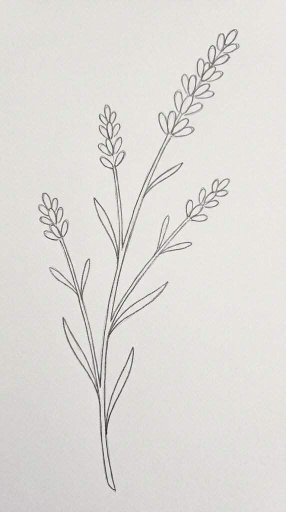Lavender Branch with Multiple Side Sprigs