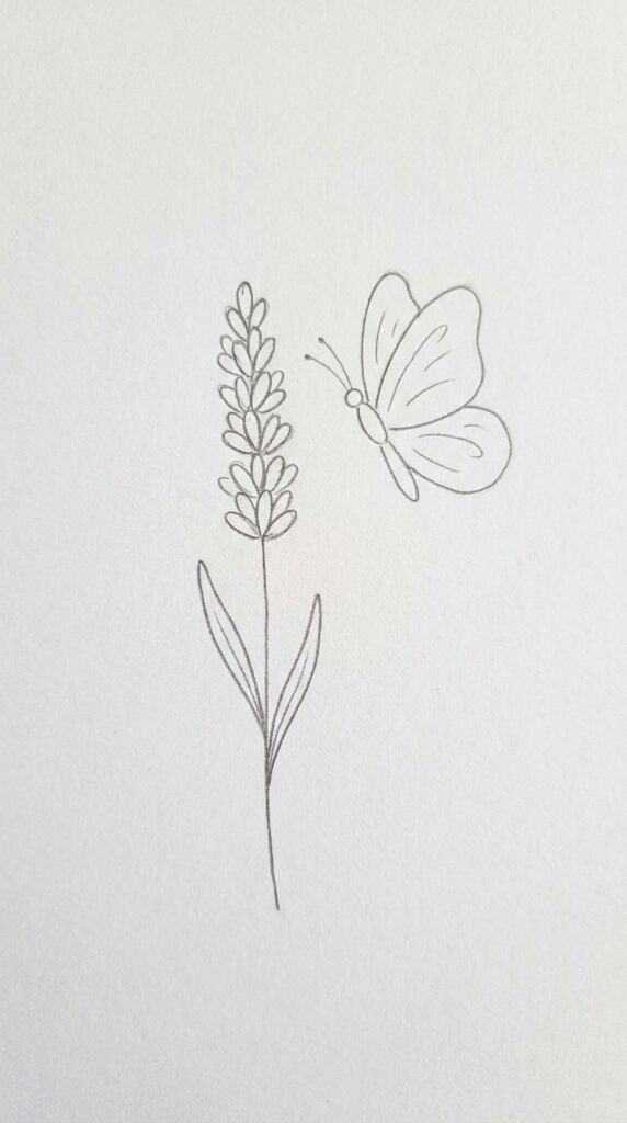 Lavender and Butterfly Drawing