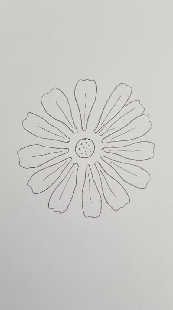 Loose Zinnia Petal Arrangement Drawing