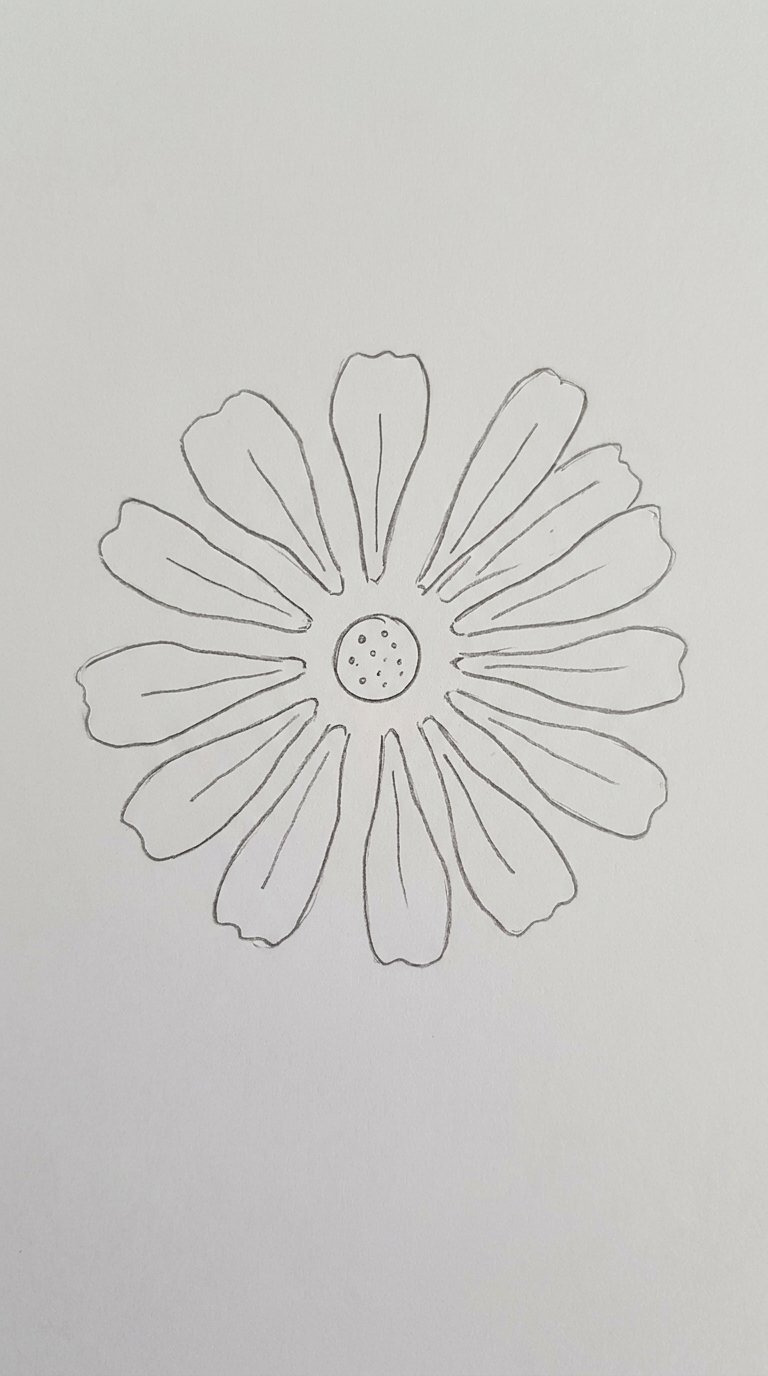 12 Zinnia Flower Drawing Ideas for Beginners (Easy Step-by-Step) 6 Loose Zinnia Petal Arrangement Drawing