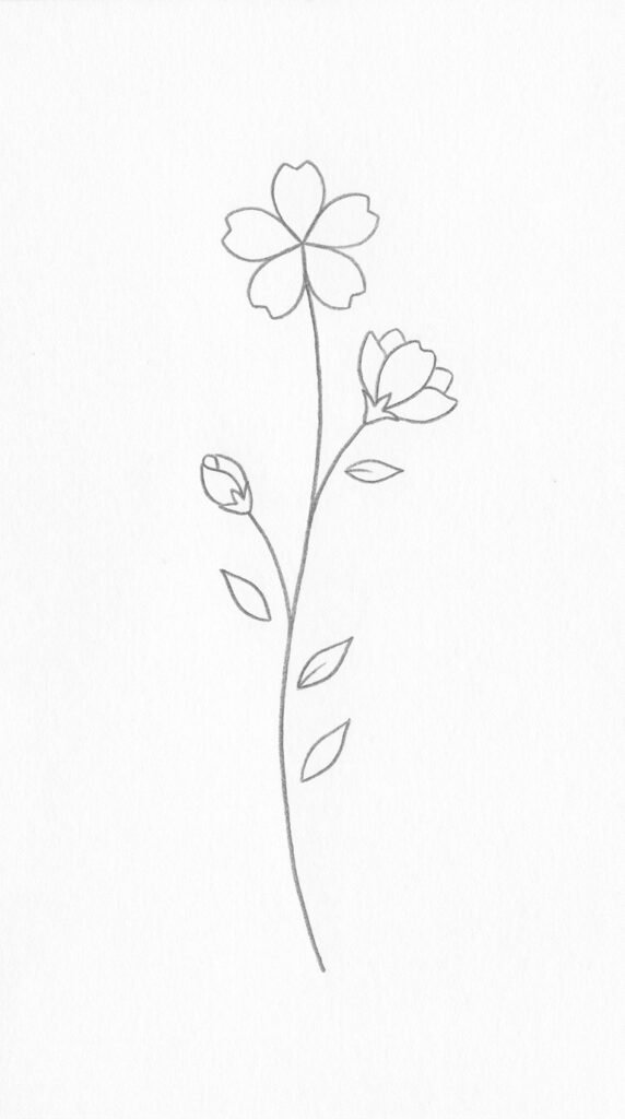 Minimalist Single Cherry Blossom Stem
