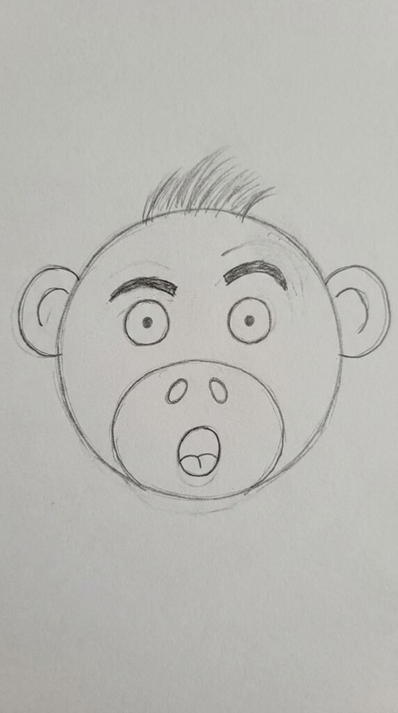 Monkey Face with Detailed Expression Drawing