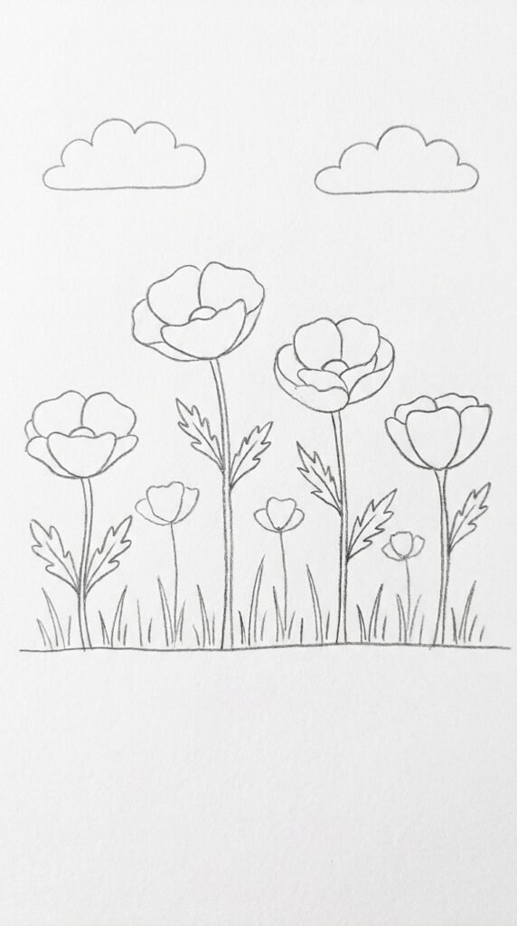 Poppy Field Scene