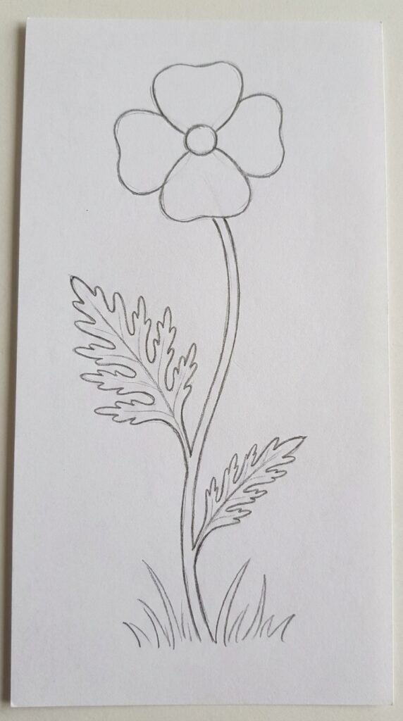 Poppy Flower With Long Stem and Leaves