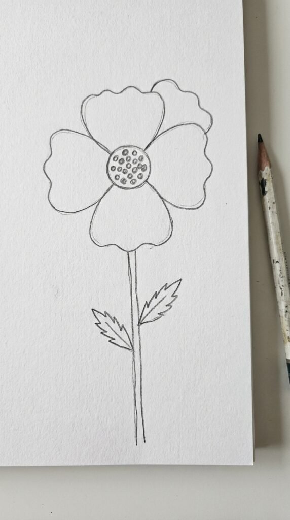 Poppy With Five Petals
