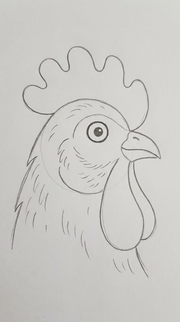 12 Chicken Drawing Ideas That Are Easy and Fun for Beginners 7 Rooster Head Close Up Portrait