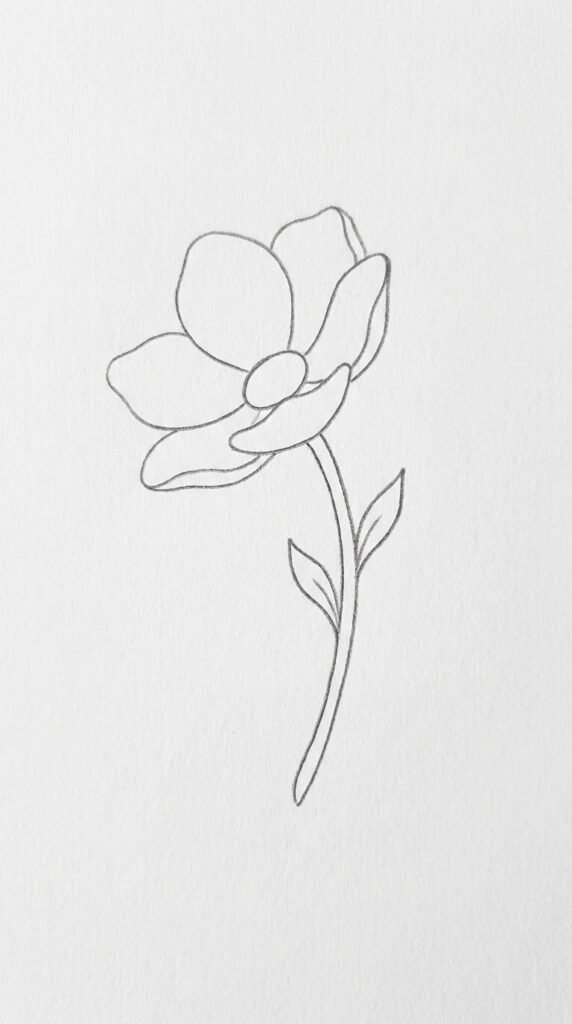 Side View Anemone Sketch