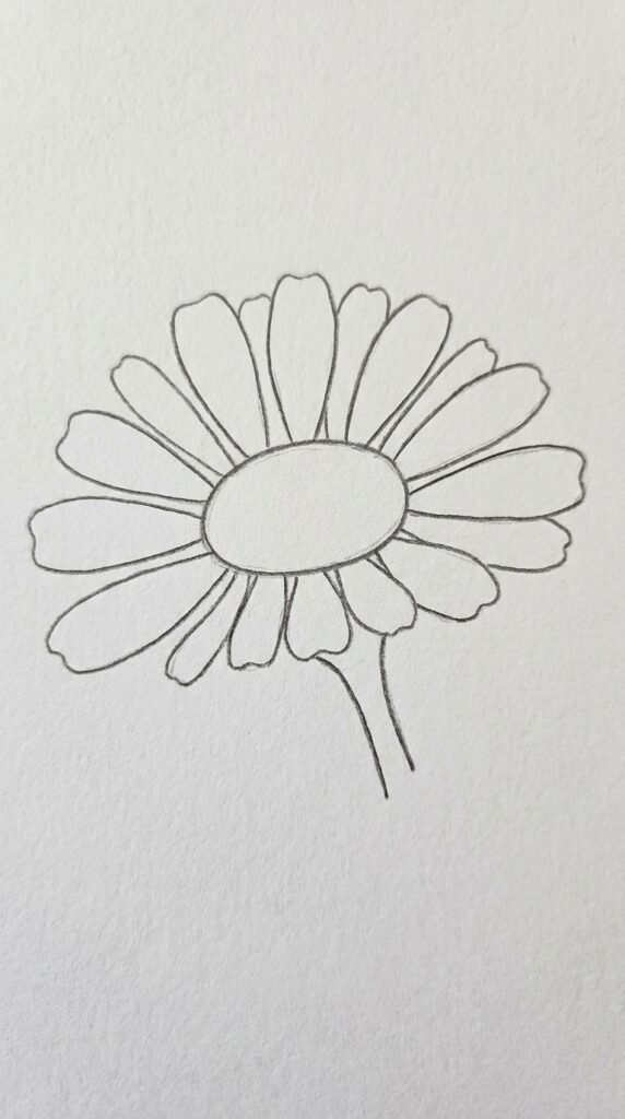 Side View Zinnia Drawing