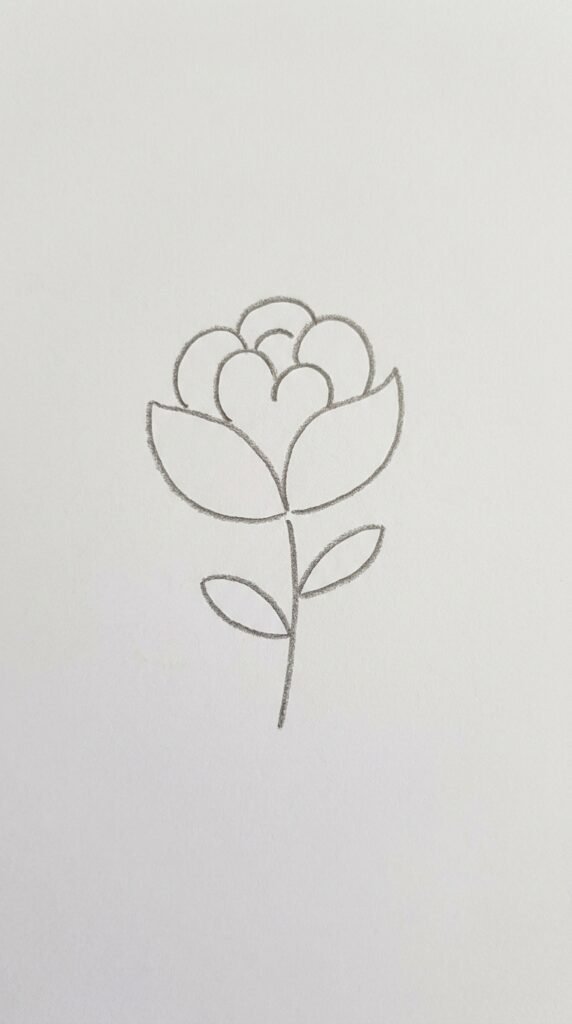 Simple Peony Bud Drawing
