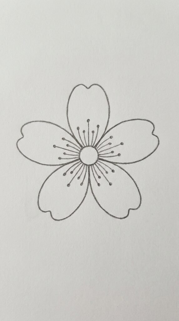 Simple Single Cherry Blossom Bloom