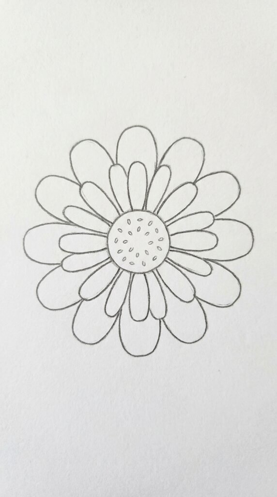 Simple Single Zinnia Bloom Drawing
