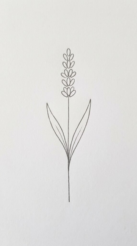 Single Lavender Stem Drawing 2