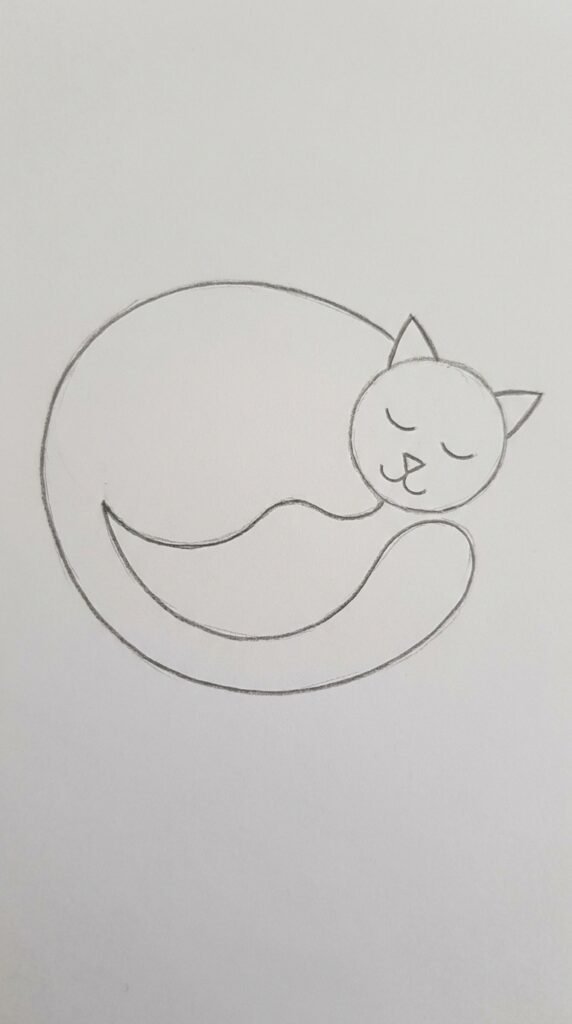 Sleeping Cat Curled in a Ball