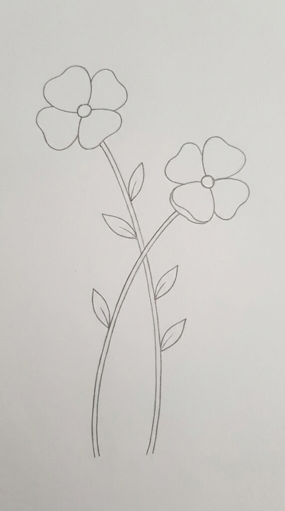 Two Poppies Together