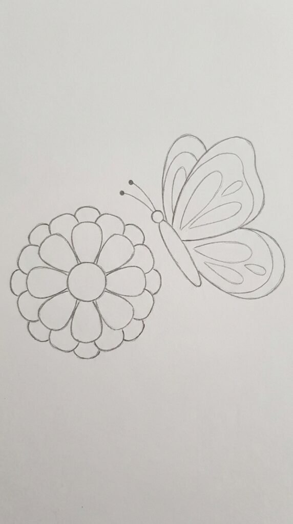 Zinnia Flower With Butterfly Drawing