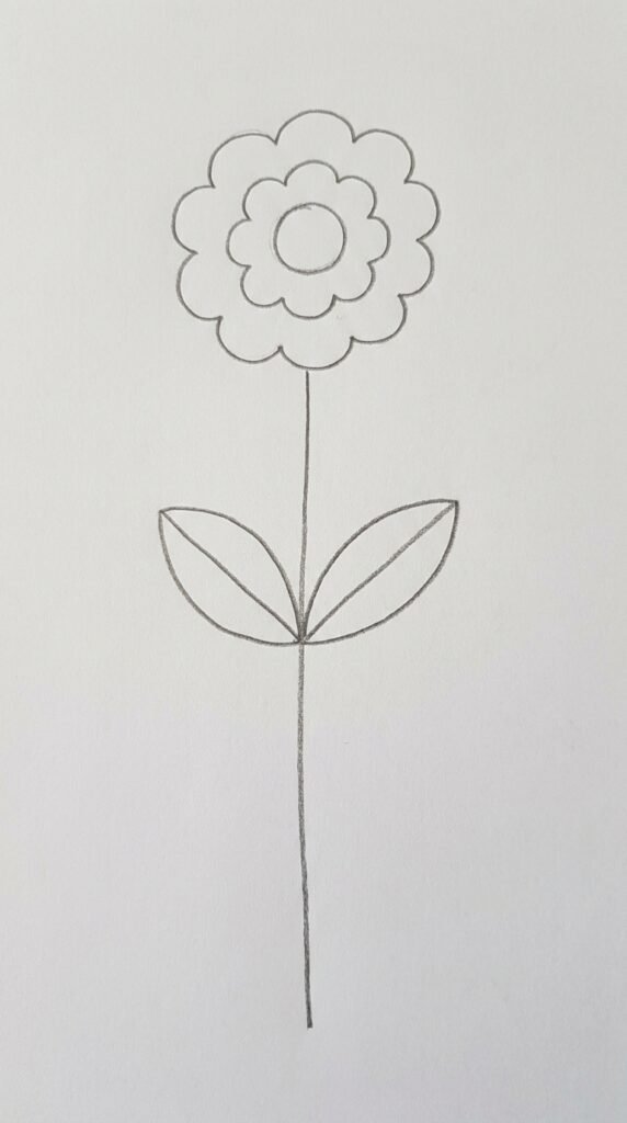 Zinnia Flower With Long Stem and Leaves