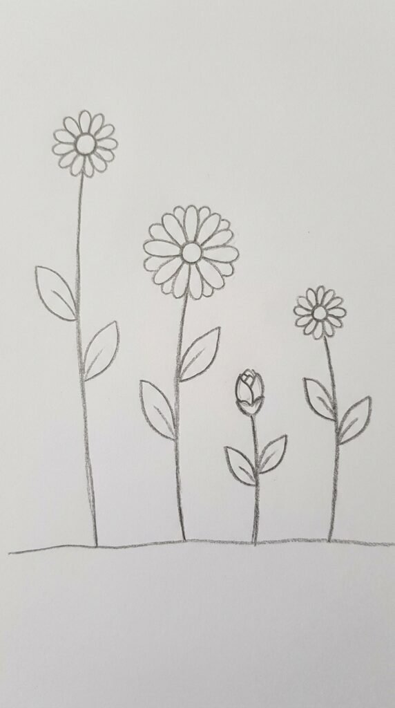 Zinnia Garden Row Drawing