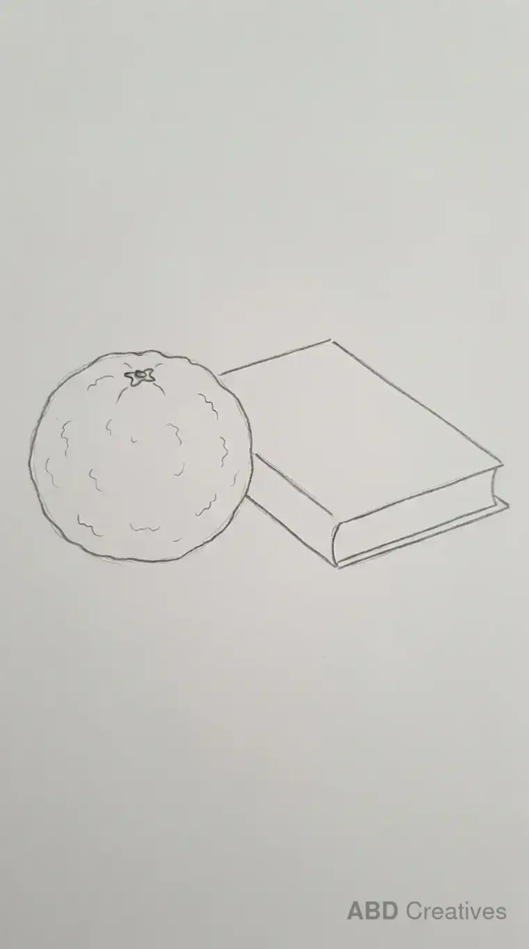 Orange Beside a Book