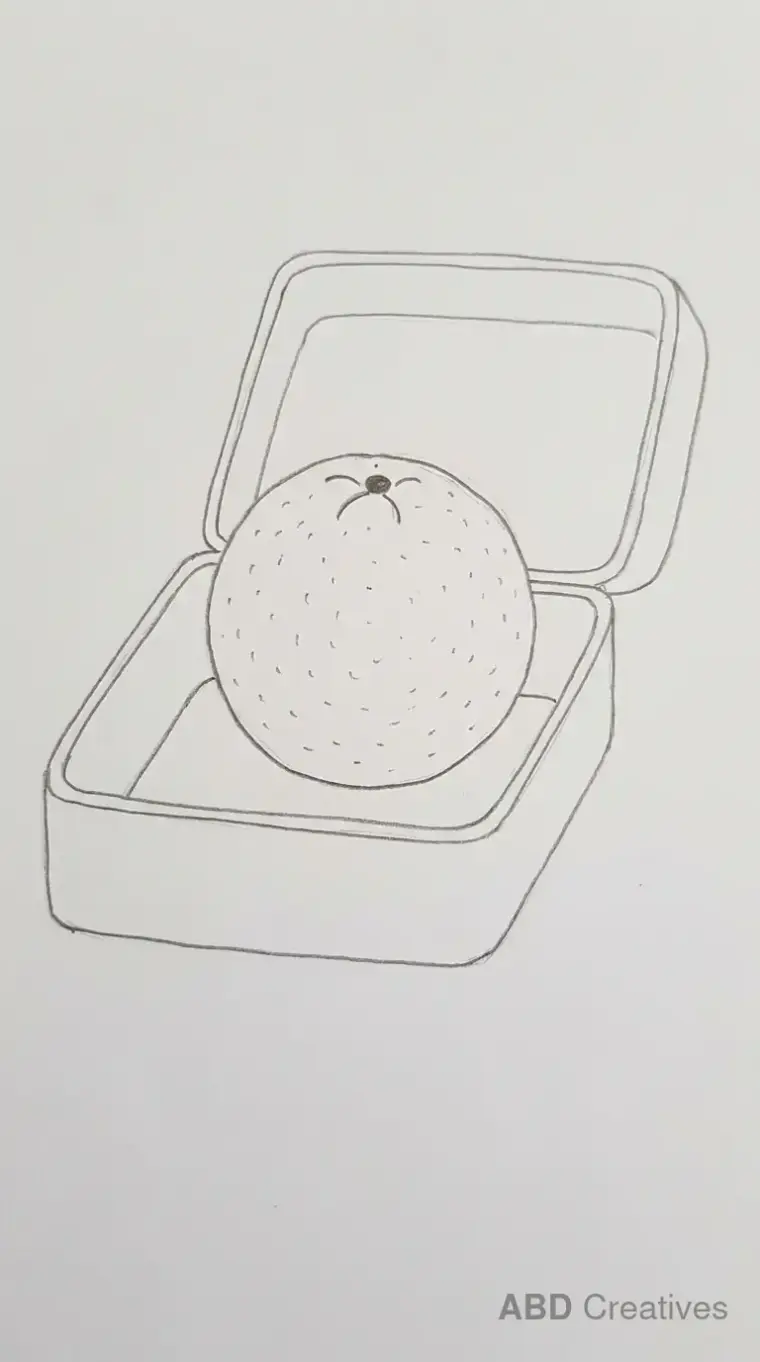 Orange in a Lunch Box