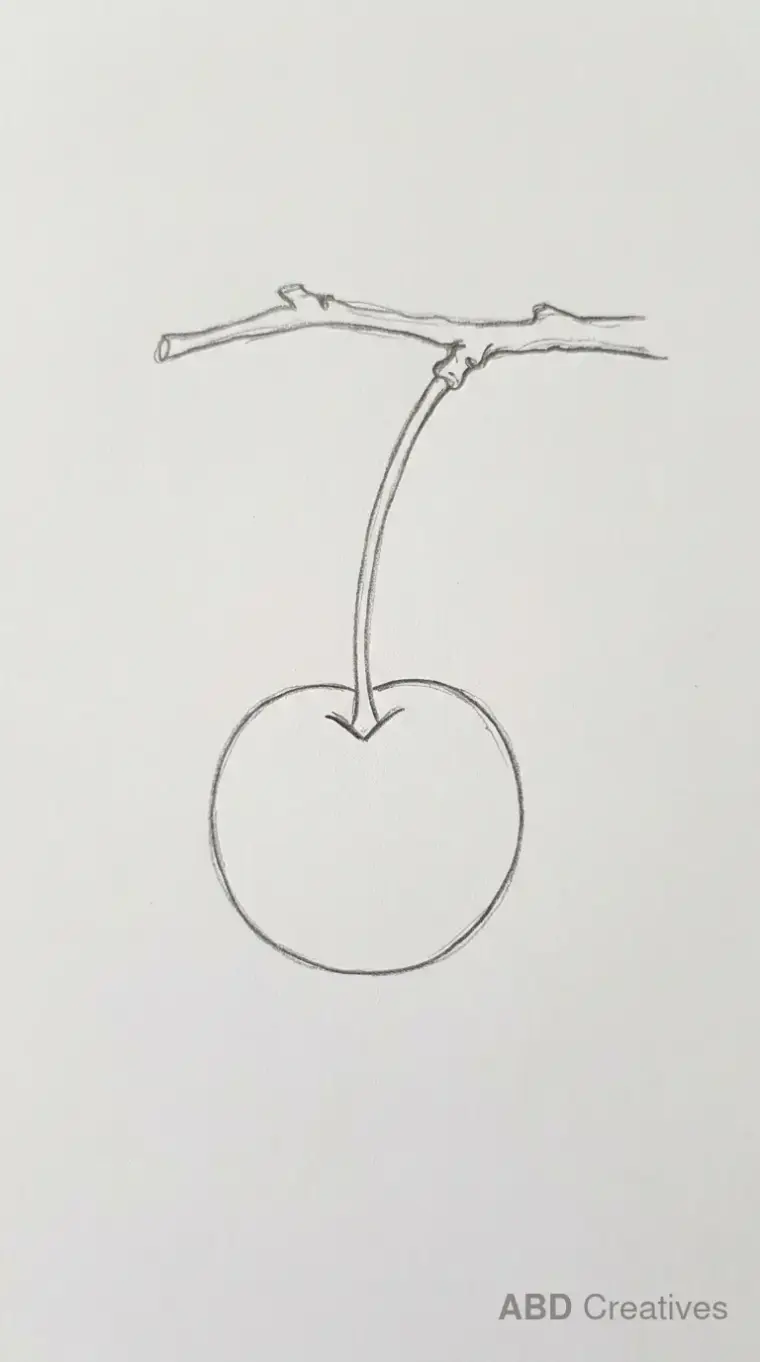 Cherry Hanging From a Branch