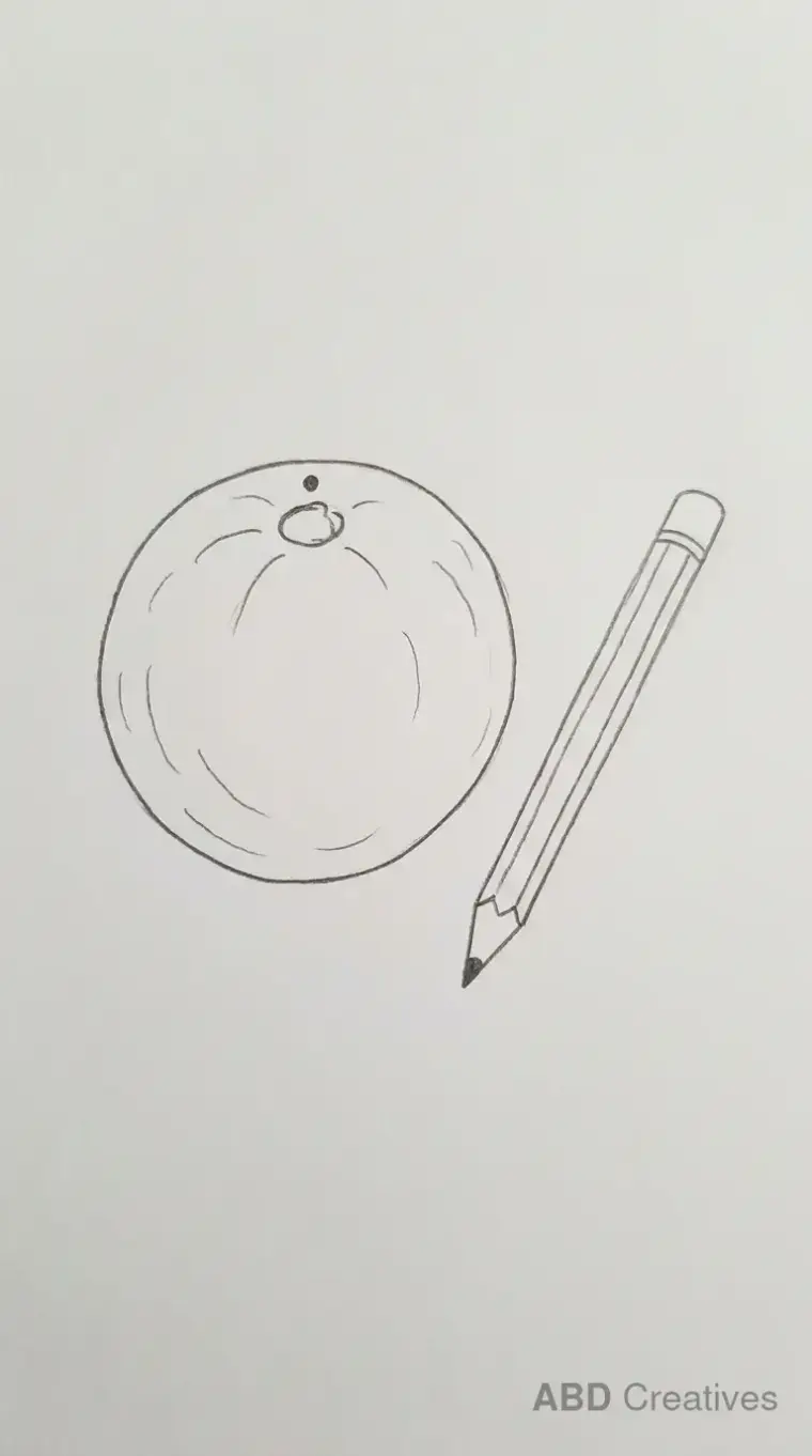 Orange Beside a Pencil
