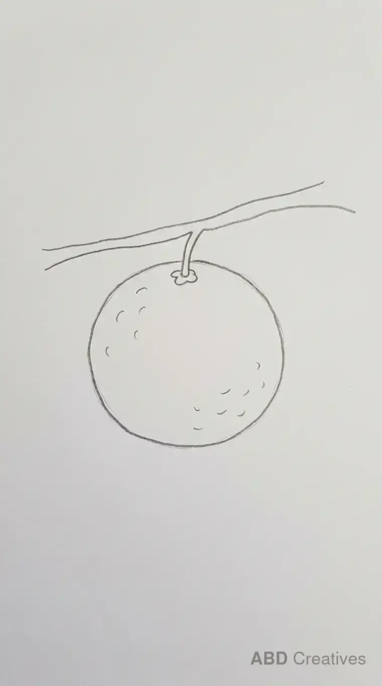 Orange Hanging From a Branch
