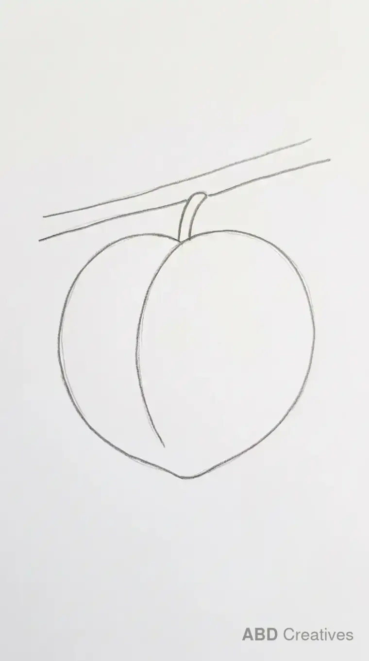 Peach Hanging From a Branch
