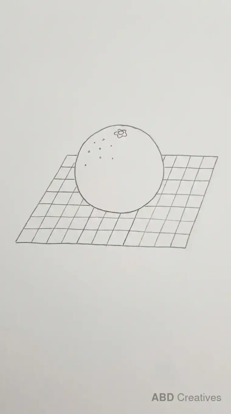 Orange on a Picnic Cloth