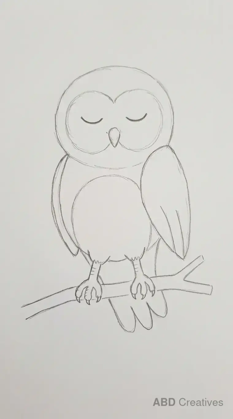 Sleeping Owl