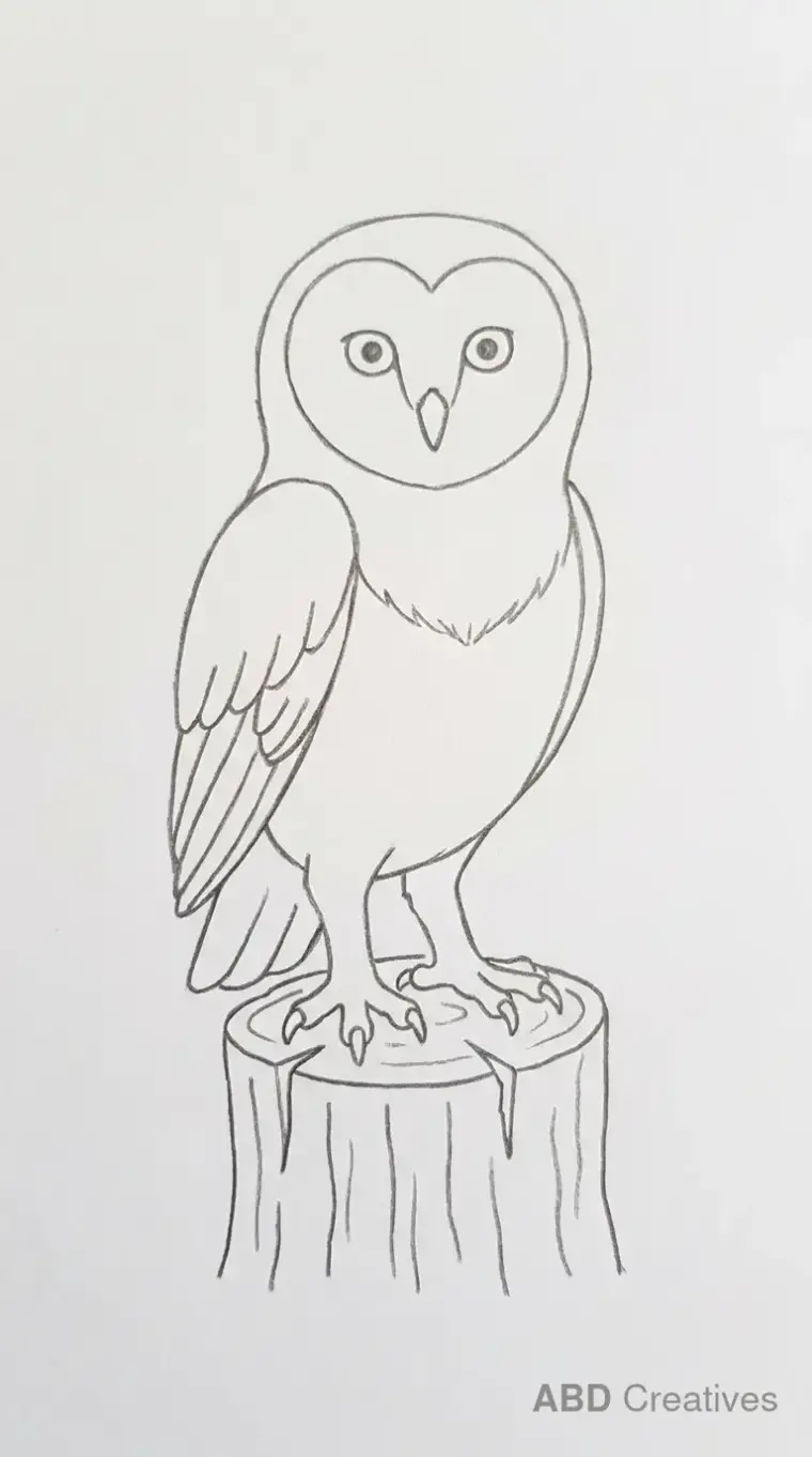 Owl on a Tree Stump