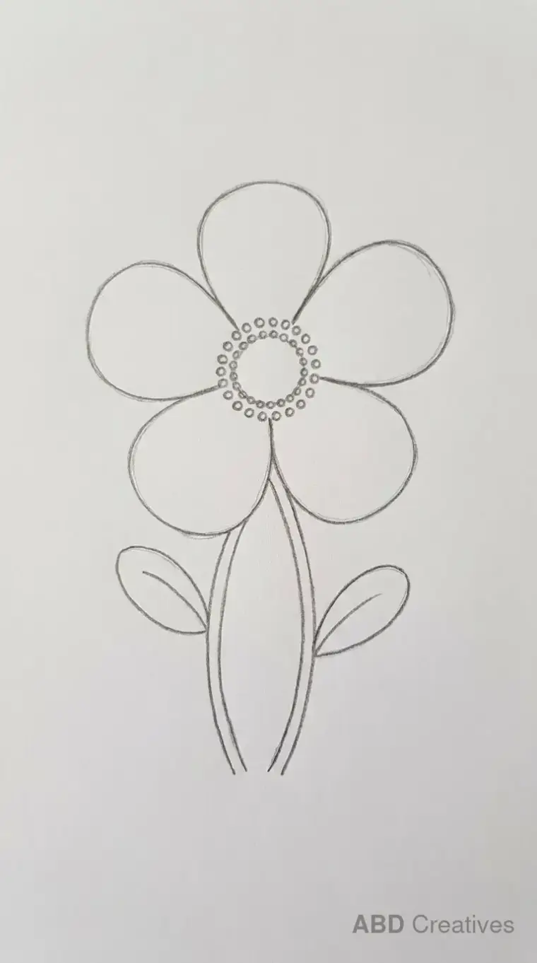 Easy Anemone for Beginners