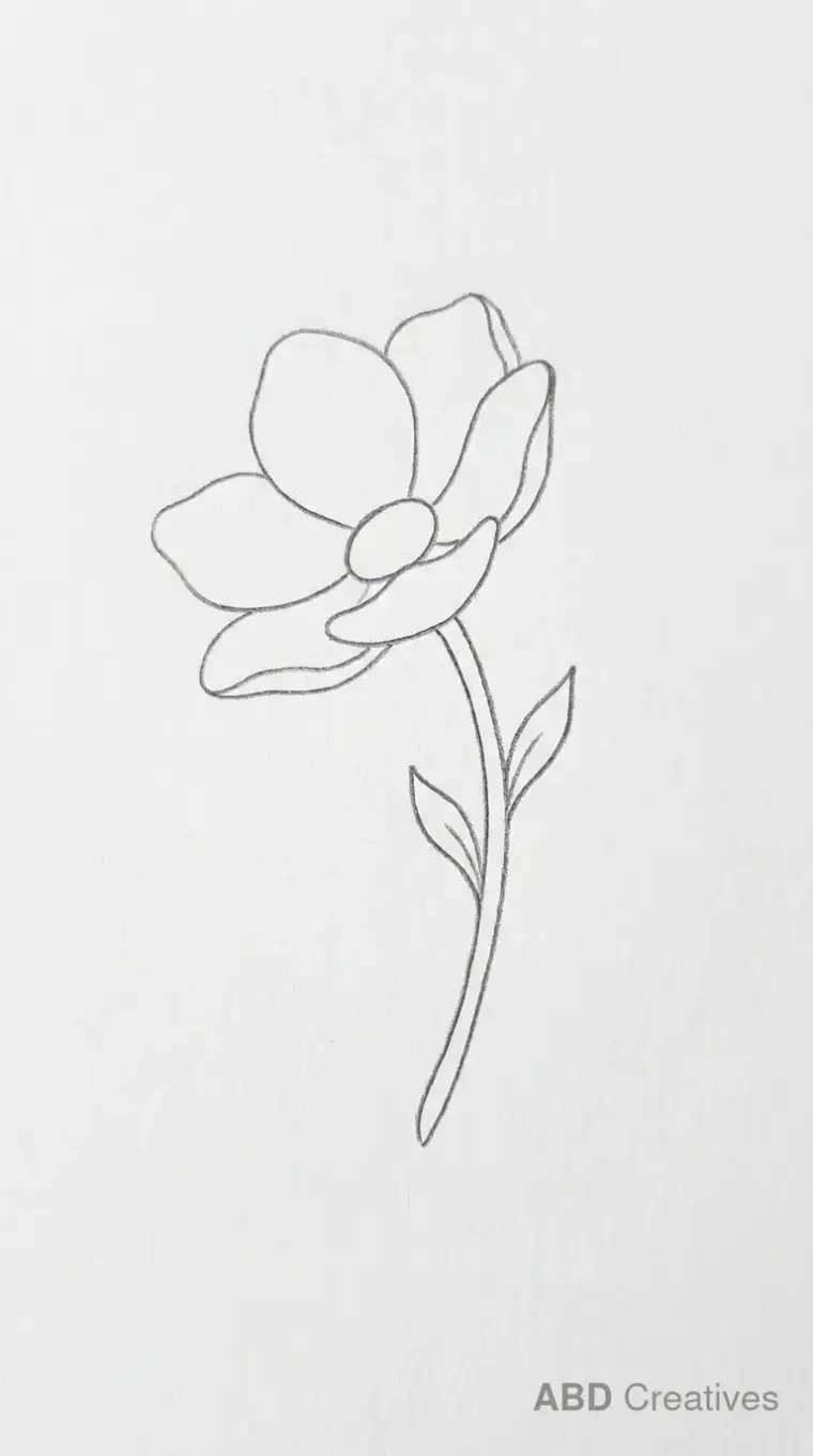 Side View Anemone