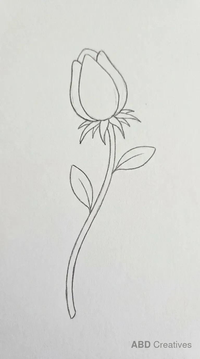 Anemone Bud on a Stem