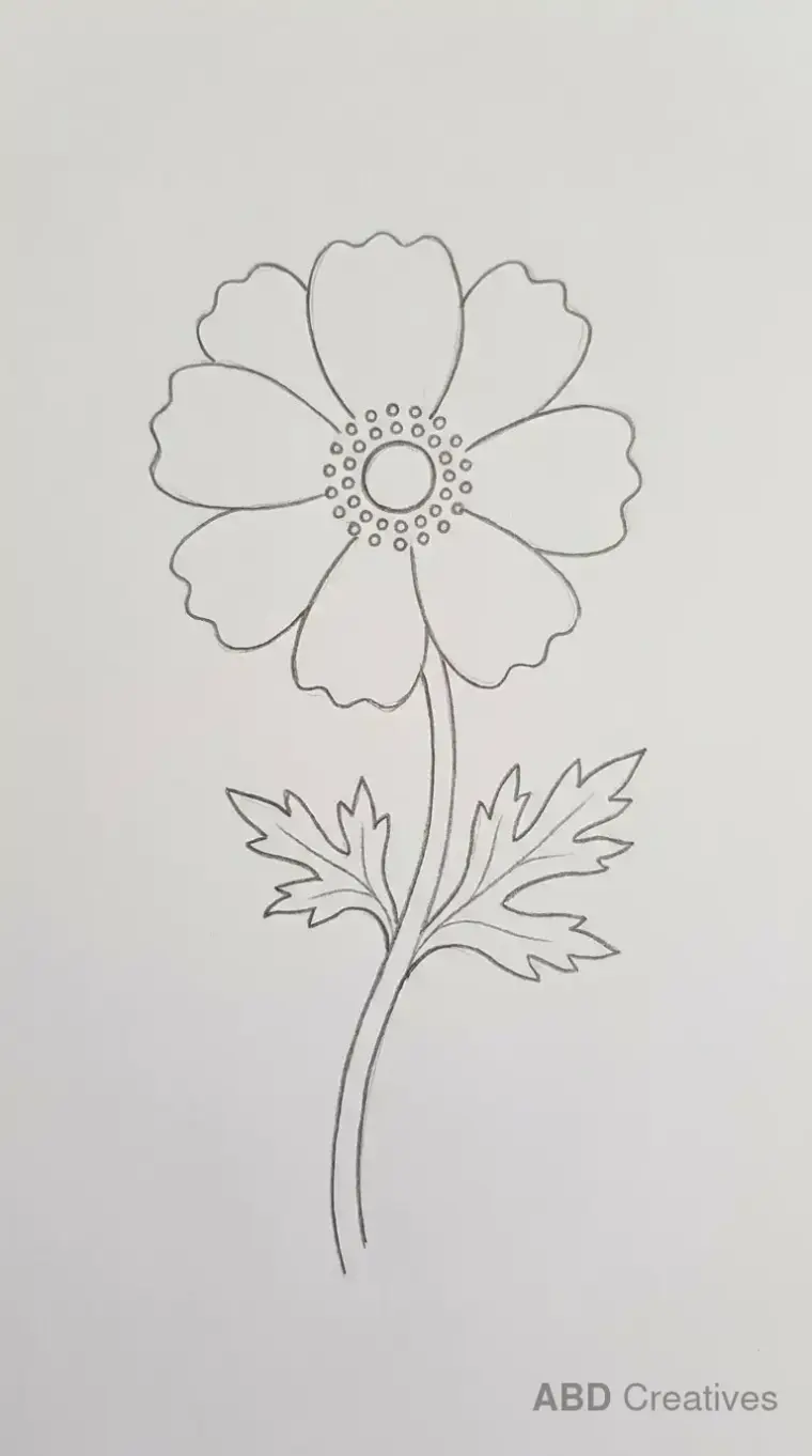 Anemone with Cut Leaves
