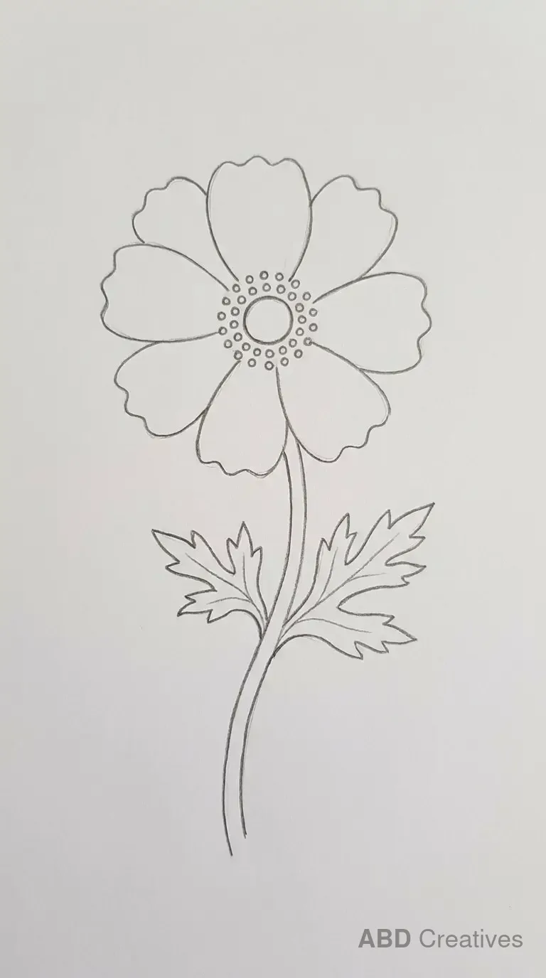 Anemone with Cut Leaves