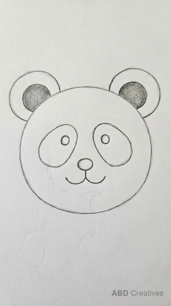 Panda Face Close Up