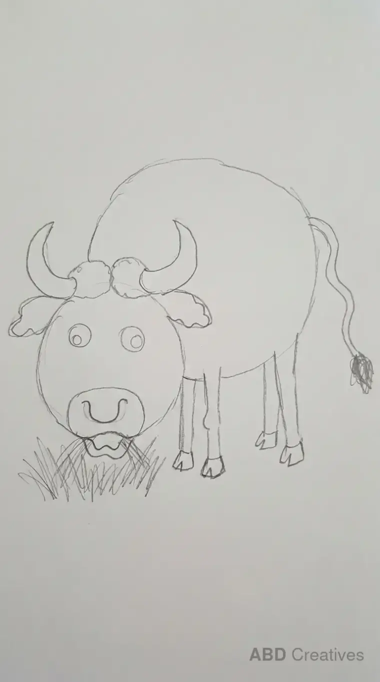 Buffalo Eating Grass in Field