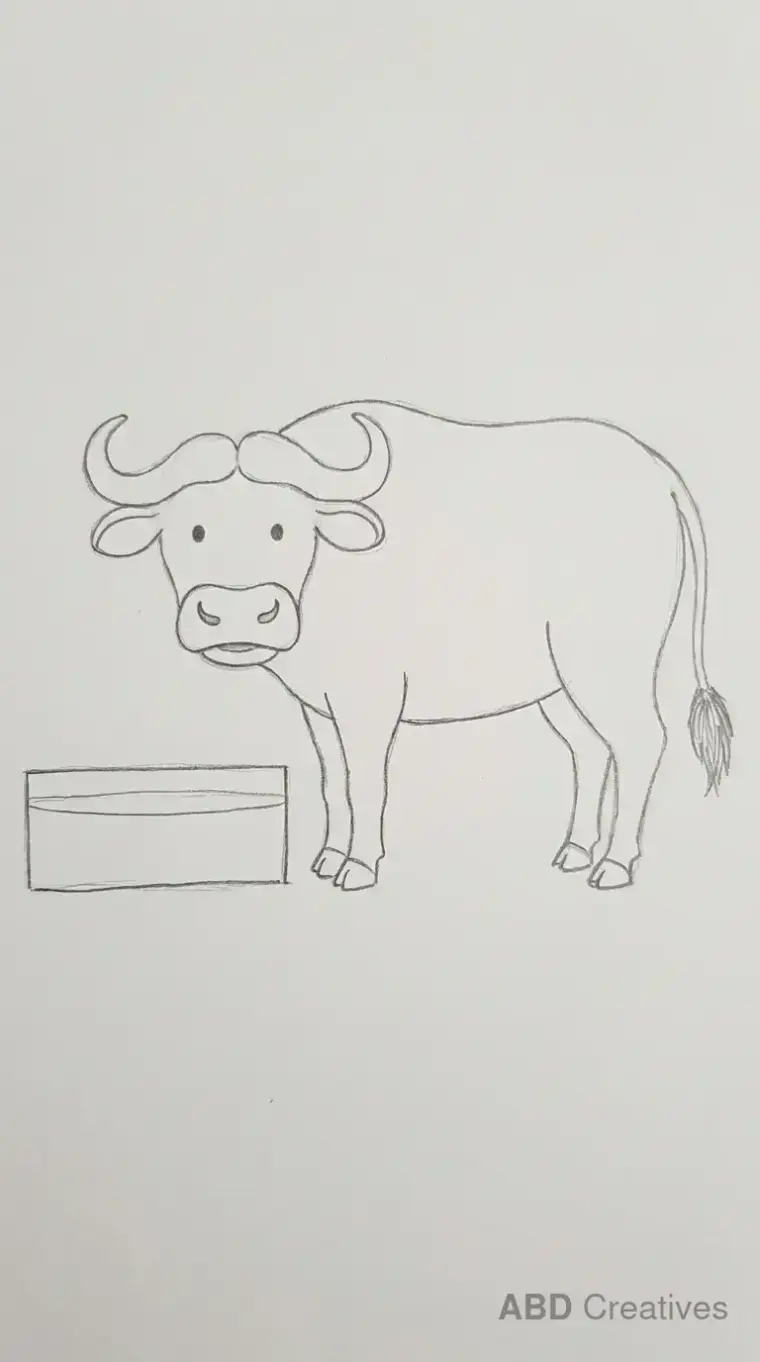Buffalo Standing Beside Water Trough