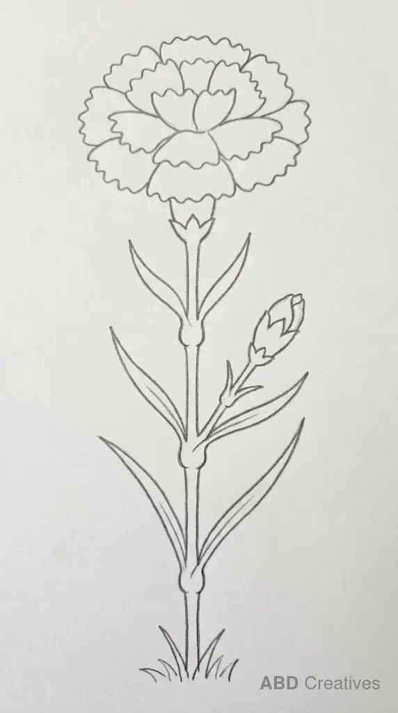 Carnation with Leaves and Stem